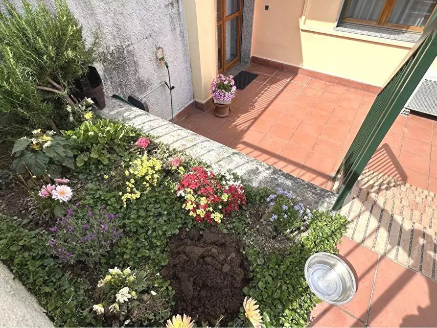 Immagine 46 di Villetta a schiera in vendita  a Arcola