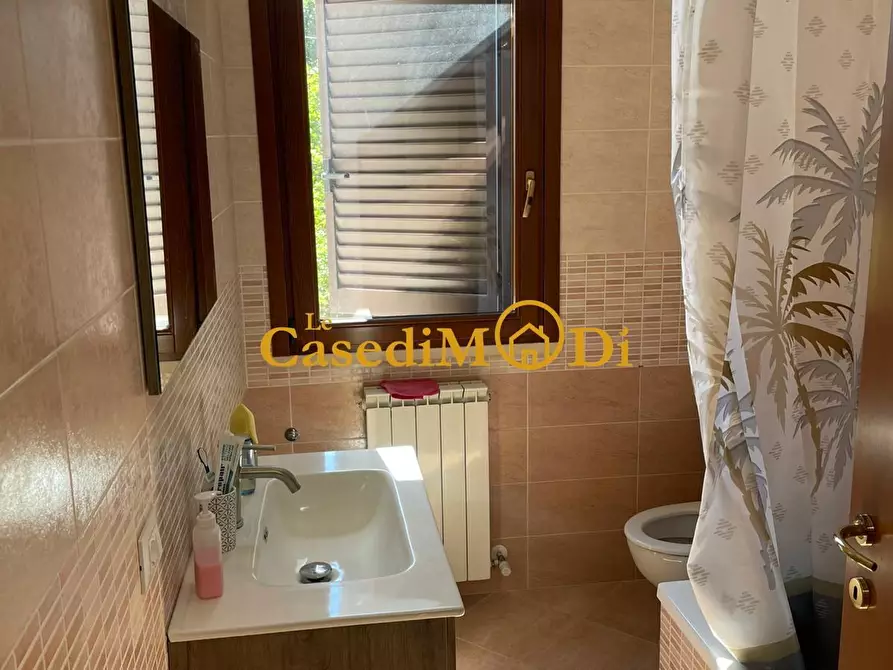 Immagine 15 di Appartamento in vendita  a Rosignano Marittimo