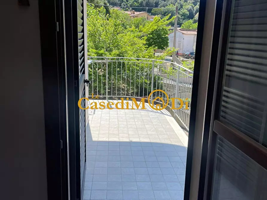 Immagine 17 di Appartamento in vendita  a Rosignano Marittimo