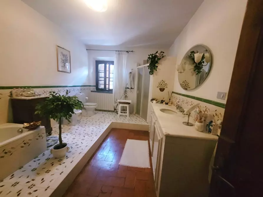 Immagine 15 di Rustico / casale in vendita  a San Giuliano Terme