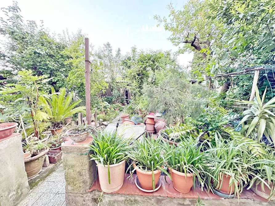 Immagine 14 di Terratetto in vendita  a Firenze