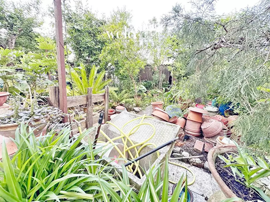 Immagine 15 di Terratetto in vendita  a Firenze