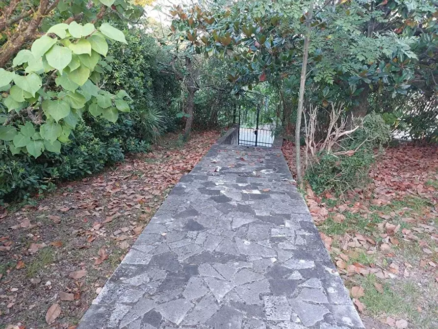 Immagine 22 di Porzione di casa in vendita  a Castelnuovo Magra