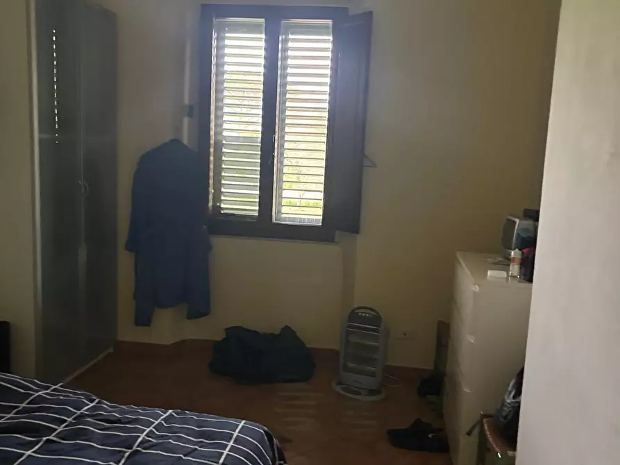 Immagine 8 di Terratetto in affitto  a Vecchiano