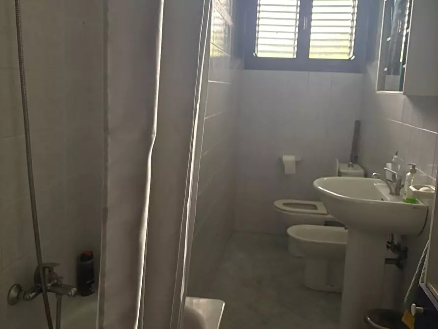 Immagine 5 di Terratetto in affitto  a Vecchiano