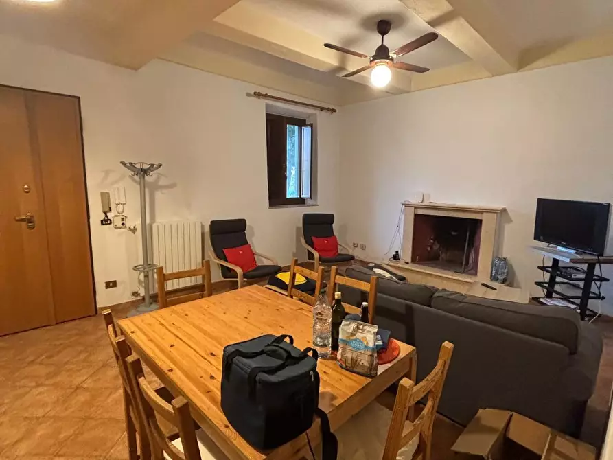 Immagine 3 di Terratetto in affitto  a Vecchiano