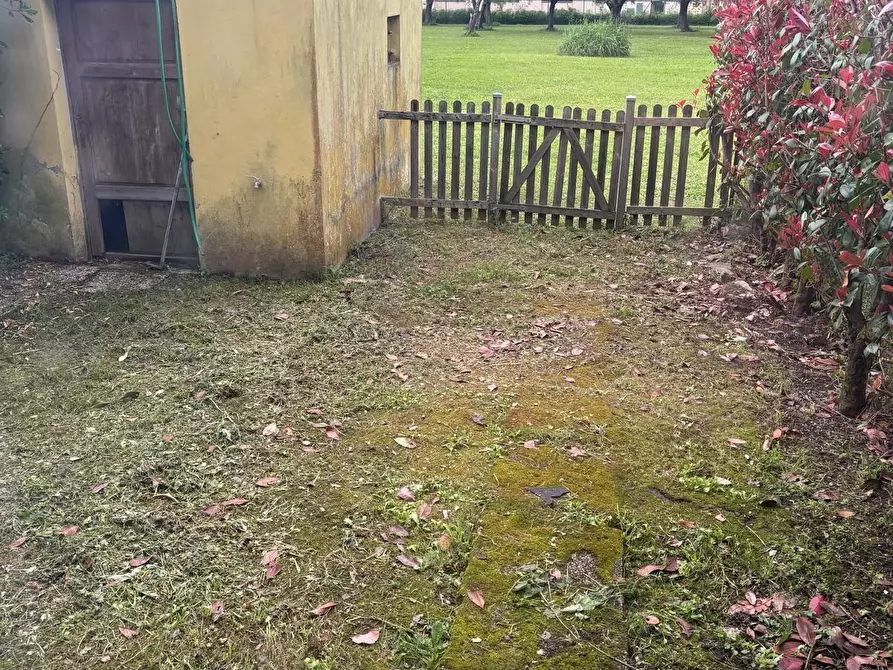 Immagine 11 di Terratetto in affitto  a Vecchiano