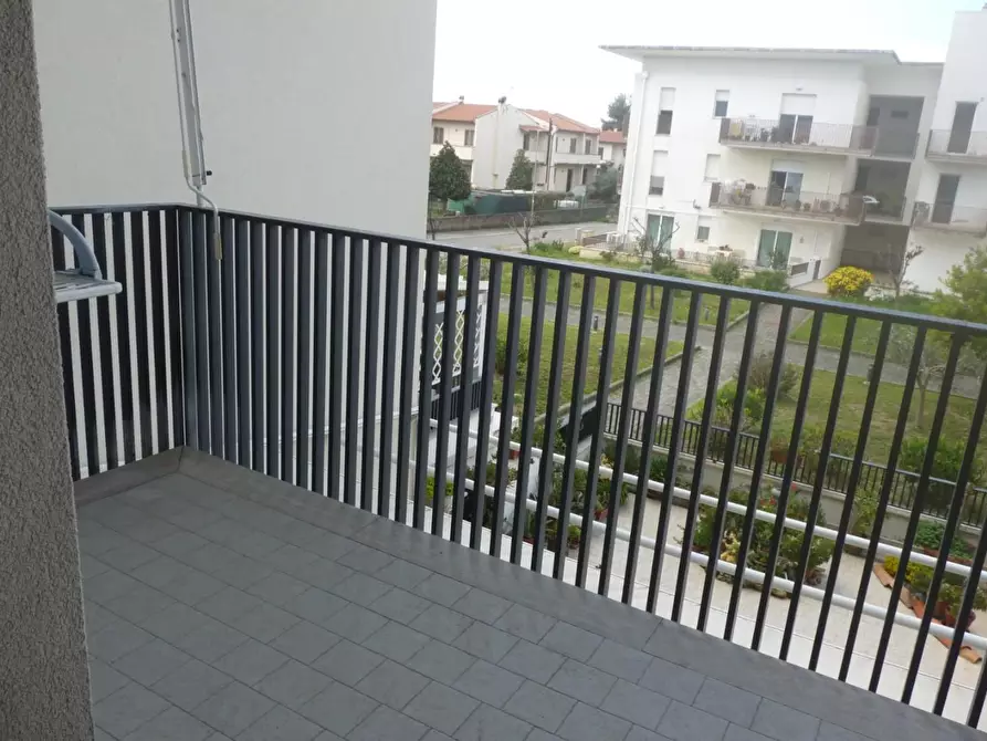 Immagine 14 di Appartamento in vendita  a Rosignano Marittimo