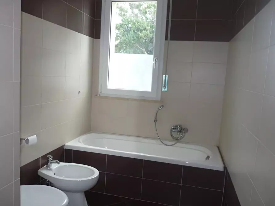 Immagine 10 di Appartamento in vendita  a Rosignano Marittimo