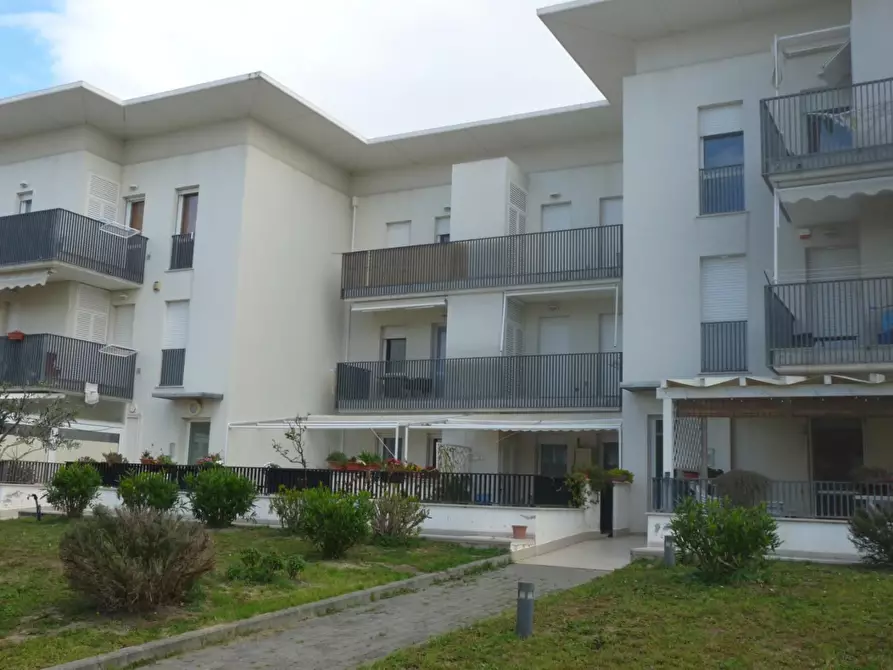 Immagine 21 di Appartamento in vendita  a Rosignano Marittimo