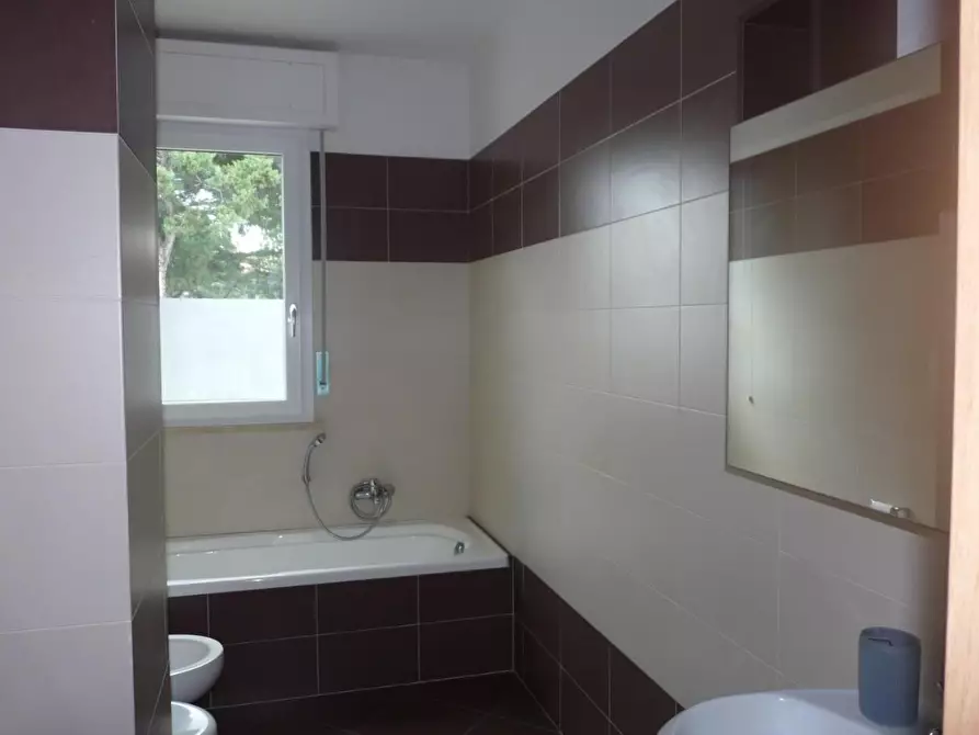 Immagine 9 di Appartamento in vendita  a Rosignano Marittimo