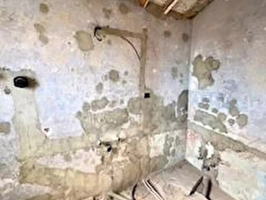 Immagine 11 di Appartamento in vendita  a Castelfranco Di Sotto