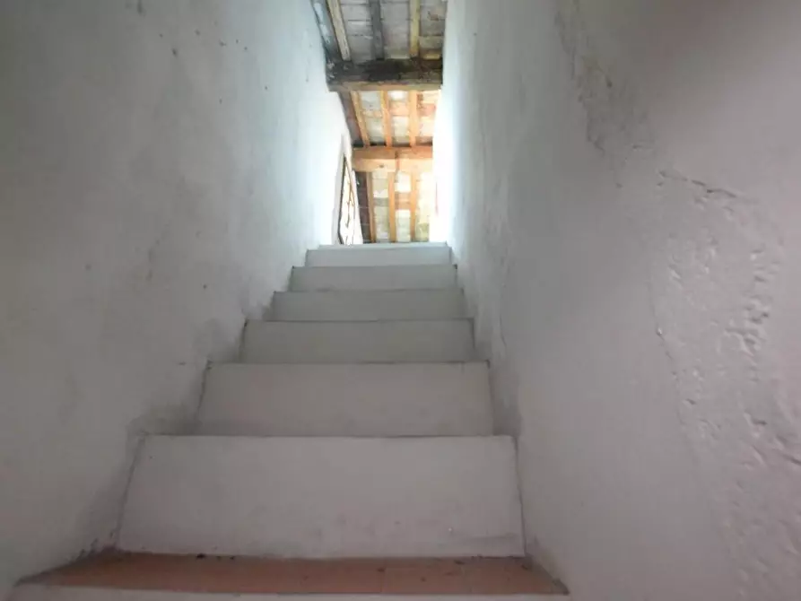 Immagine 30 di Casa bifamiliare in vendita  a Pisa