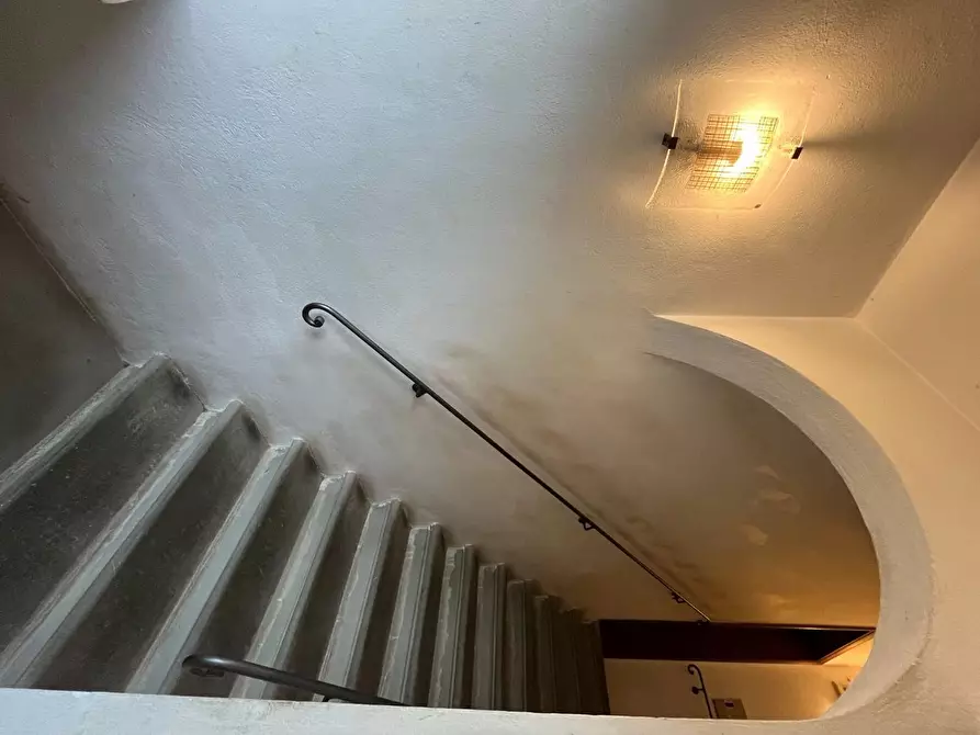 Immagine 15 di Casa colonica in vendita  a Calci