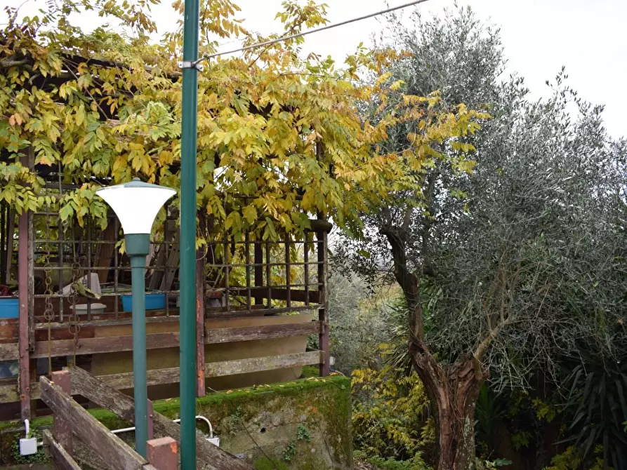 Immagine 31 di Casa colonica in vendita  a Calci