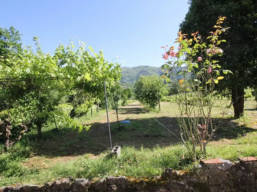 Immagine 4 di Terratetto in vendita  a Capannori