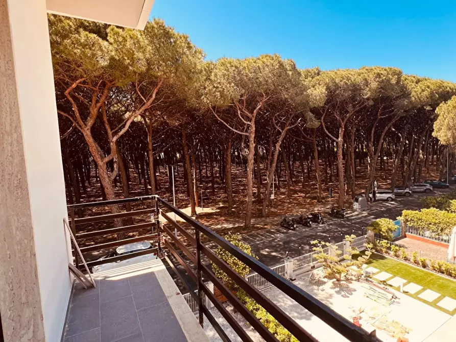 Immagine 32 di Appartamento in vendita  a Cecina