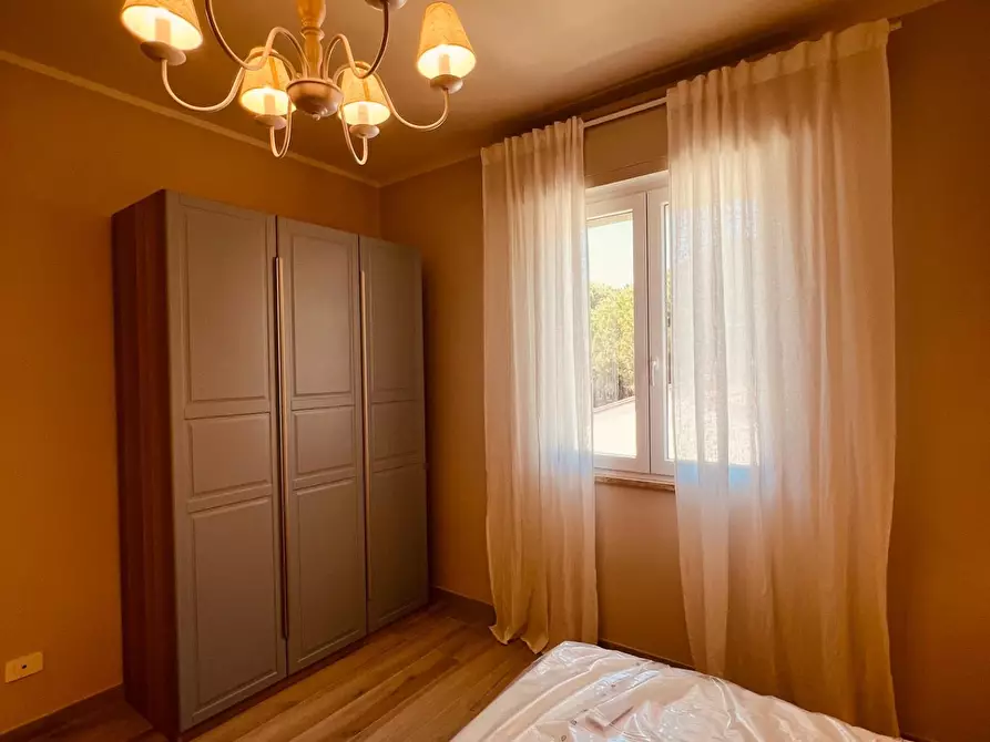 Immagine 13 di Appartamento in vendita  a Cecina