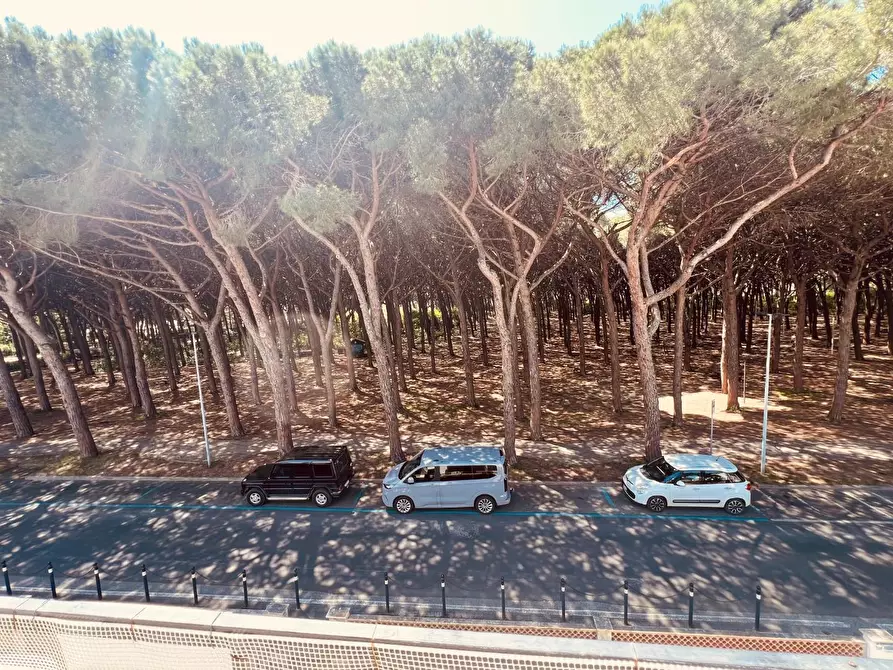 Immagine 35 di Appartamento in vendita  a Cecina