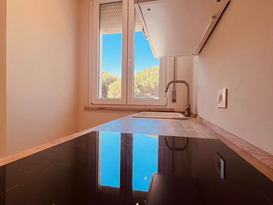 Immagine 29 di Appartamento in vendita  a Cecina