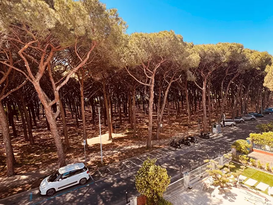 Immagine 33 di Appartamento in vendita  a Cecina