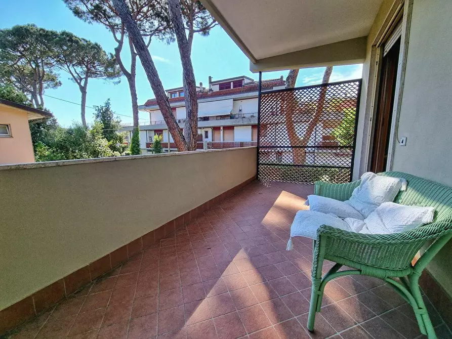 Immagine 4 di Appartamento in vendita  a Massa