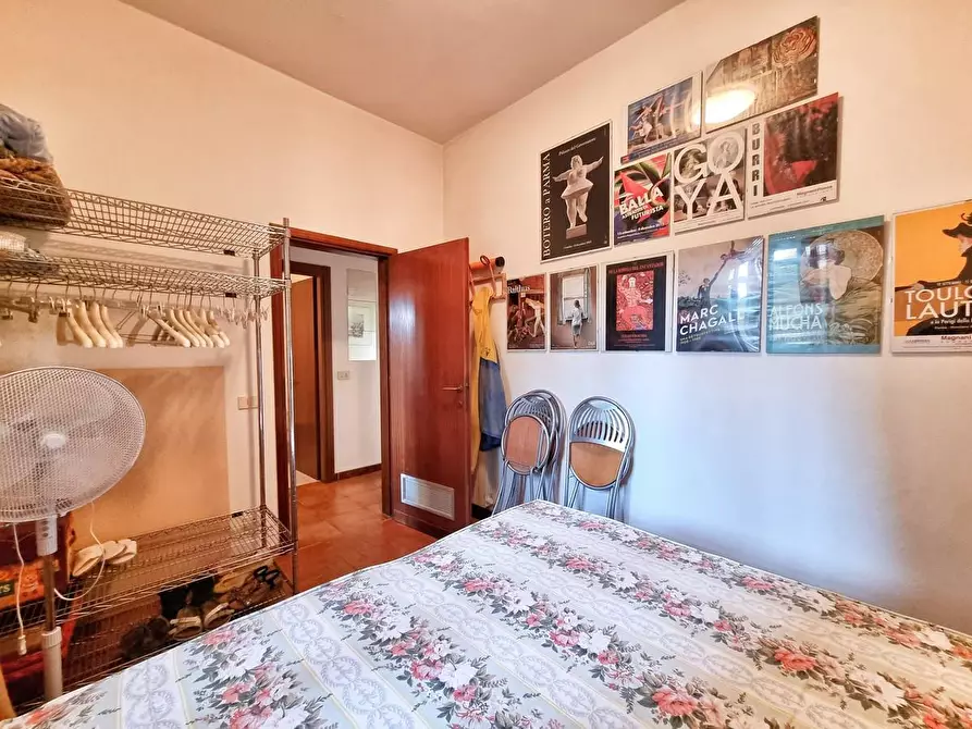 Immagine 19 di Appartamento in vendita  a Massa