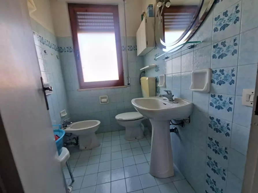 Immagine 11 di Appartamento in vendita  a Rosignano Marittimo