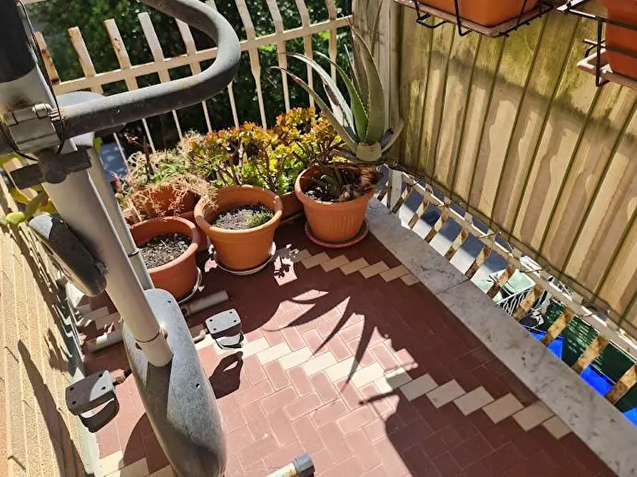 Immagine 22 di Appartamento in vendita  a Carrara