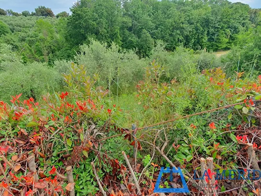 Immagine 36 di Casa indipendente in vendita  a Lamporecchio
