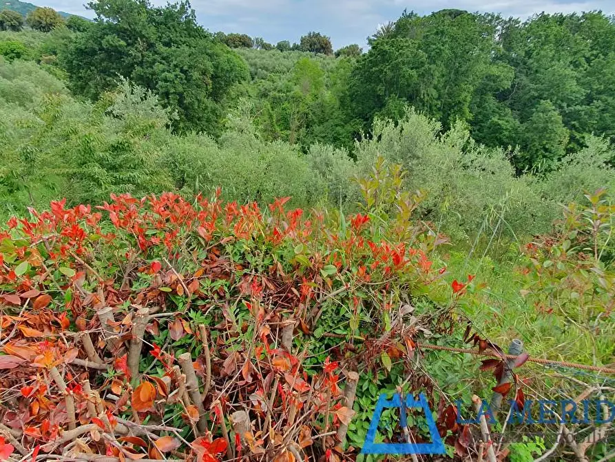 Immagine 37 di Casa indipendente in vendita  a Lamporecchio