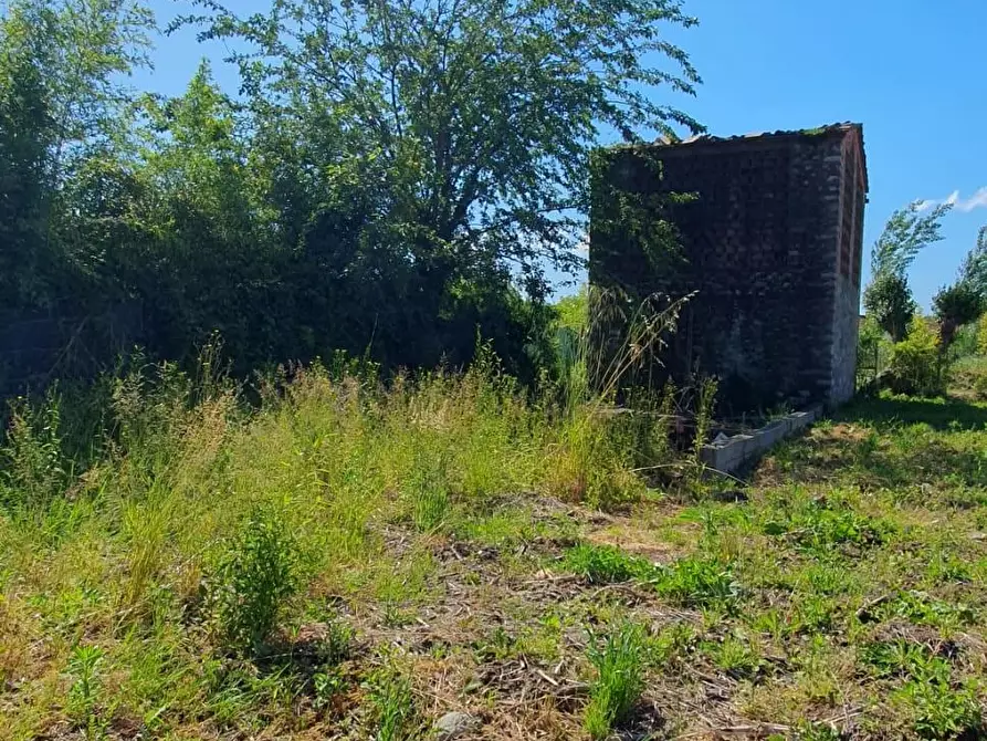 Immagine 6 di Rustico / casale in vendita  a Capannori