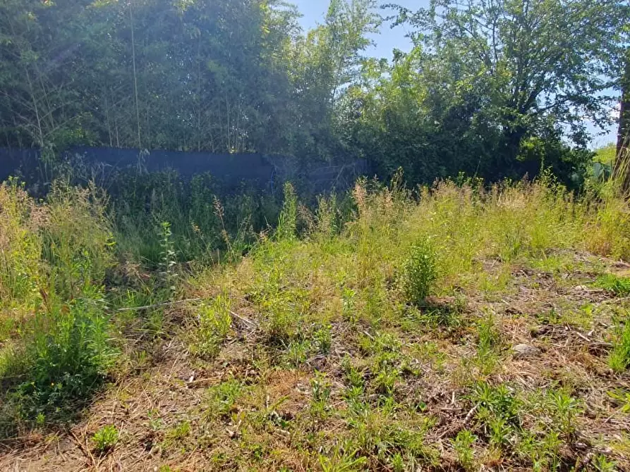 Immagine 5 di Rustico / casale in vendita  a Capannori