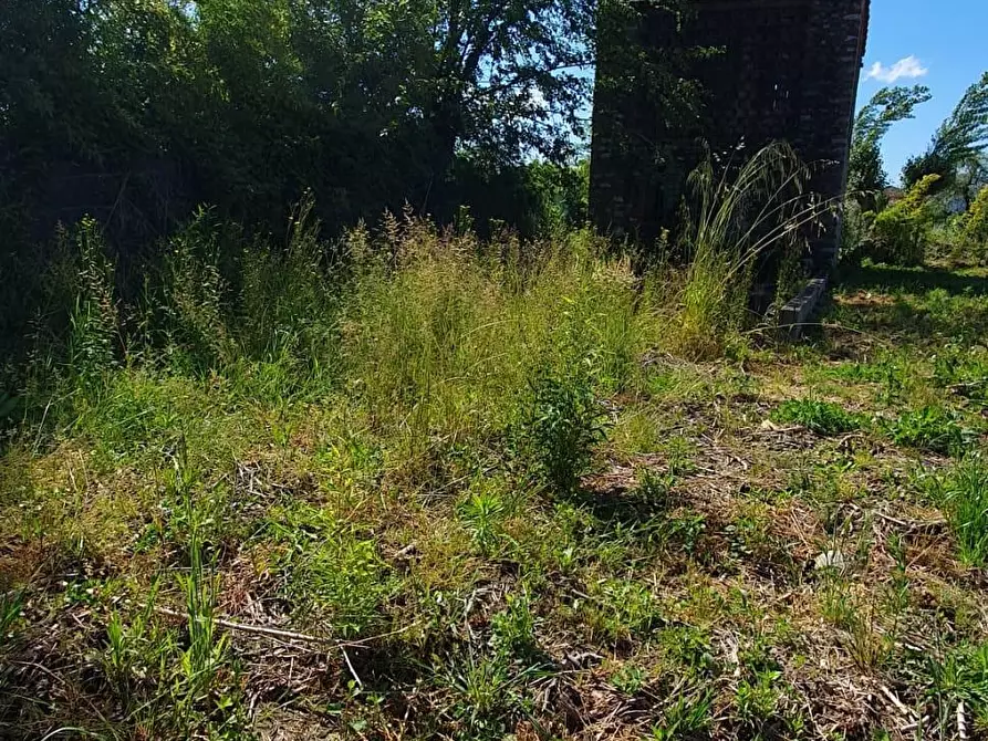 Immagine 4 di Rustico / casale in vendita  a Capannori