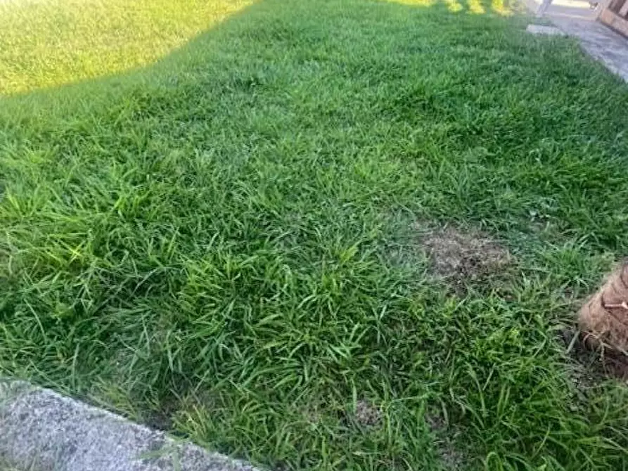 Immagine 1 di Casa bifamiliare in affitto  a Sarzana