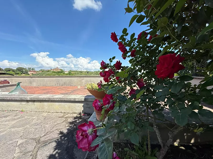 Immagine 5 di Porzione di casa in vendita  a Casciana Terme Lari