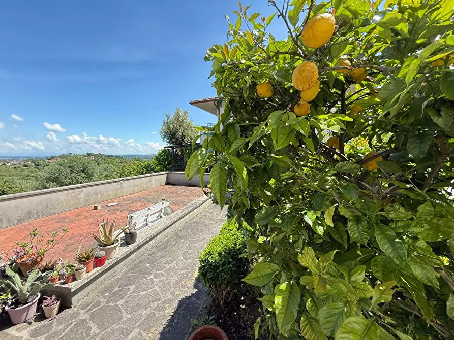 Immagine 4 di Porzione di casa in vendita  a Casciana Terme Lari