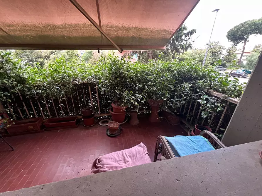 Immagine 7 di Appartamento in vendita  a Empoli