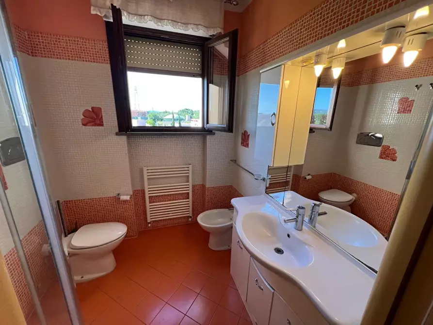 Immagine 12 di Appartamento in vendita  a Cecina