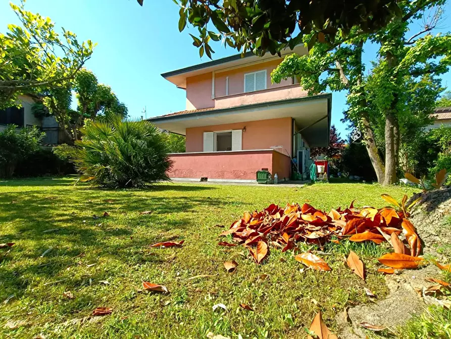 Immagine 3 di Casa indipendente in vendita  a Massa