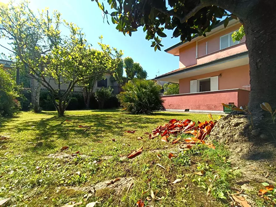 Immagine 2 di Casa indipendente in vendita  a Massa