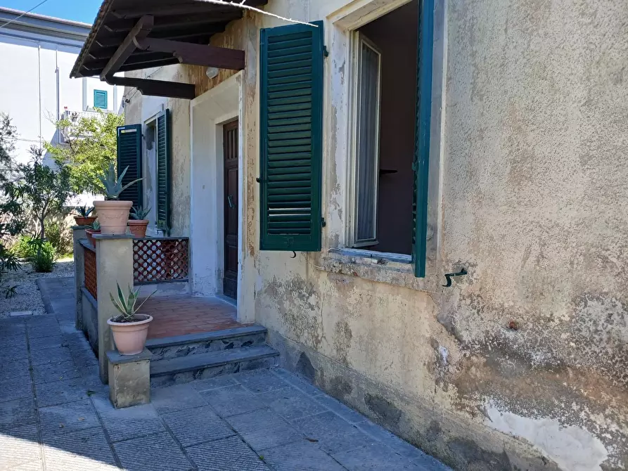 Immagine 11 di Appartamento in affitto  a Pisa