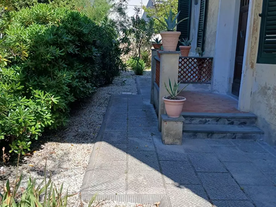 Immagine 12 di Appartamento in affitto  a Pisa