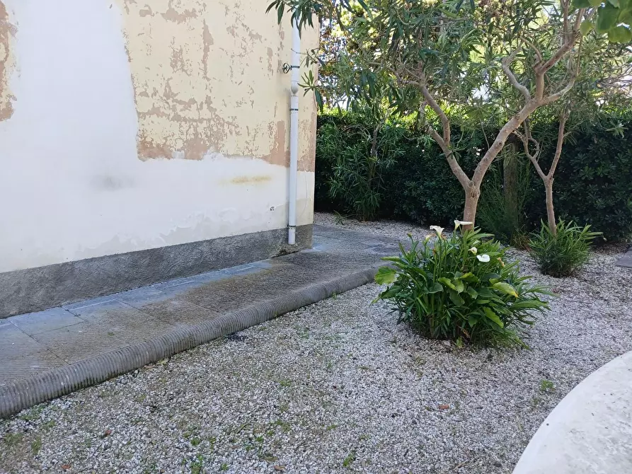 Immagine 5 di Appartamento in affitto  a Pisa