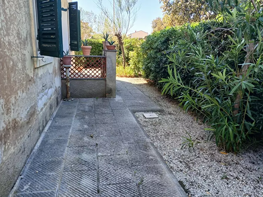 Immagine 9 di Appartamento in affitto  a Pisa