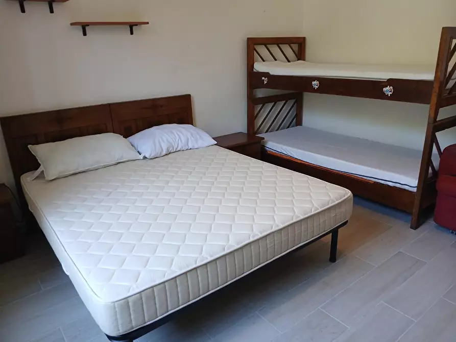 Immagine 33 di Appartamento in affitto  a Pisa