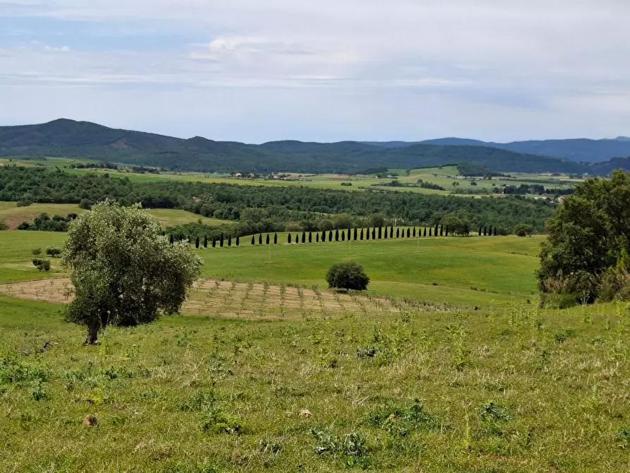 Immagine 6 di Terreno agricolo in vendita  a Manciano