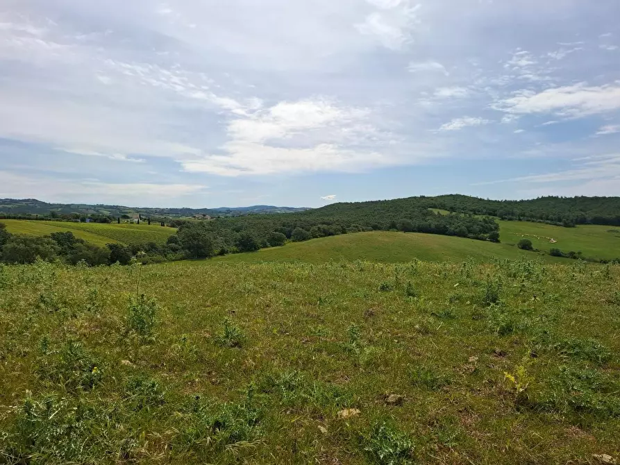 Immagine 5 di Terreno agricolo in vendita  a Manciano