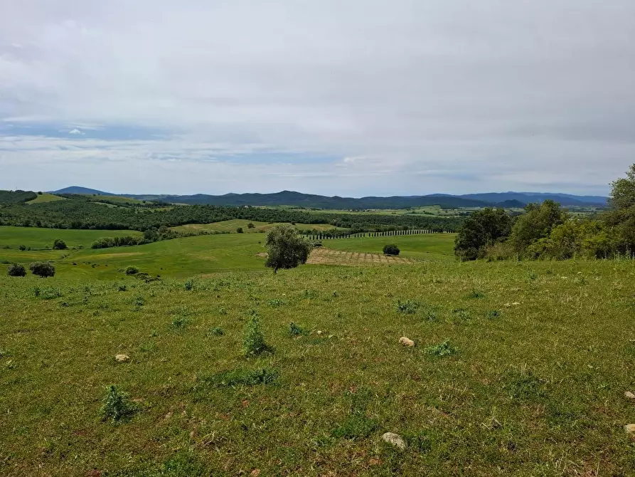 Immagine 1 di Terreno agricolo in vendita  a Manciano