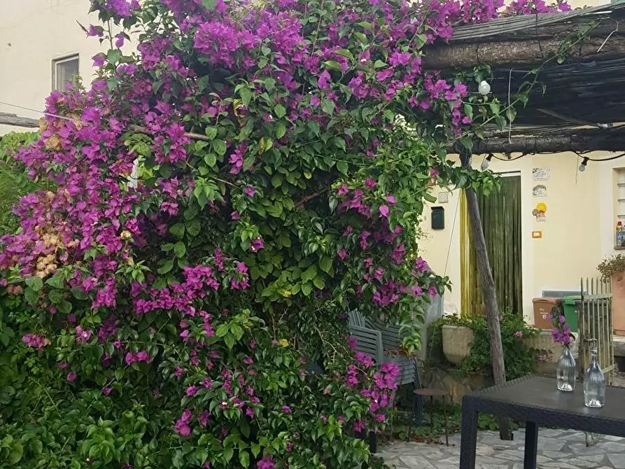 Immagine 8 di Villa in vendita  a Massarosa